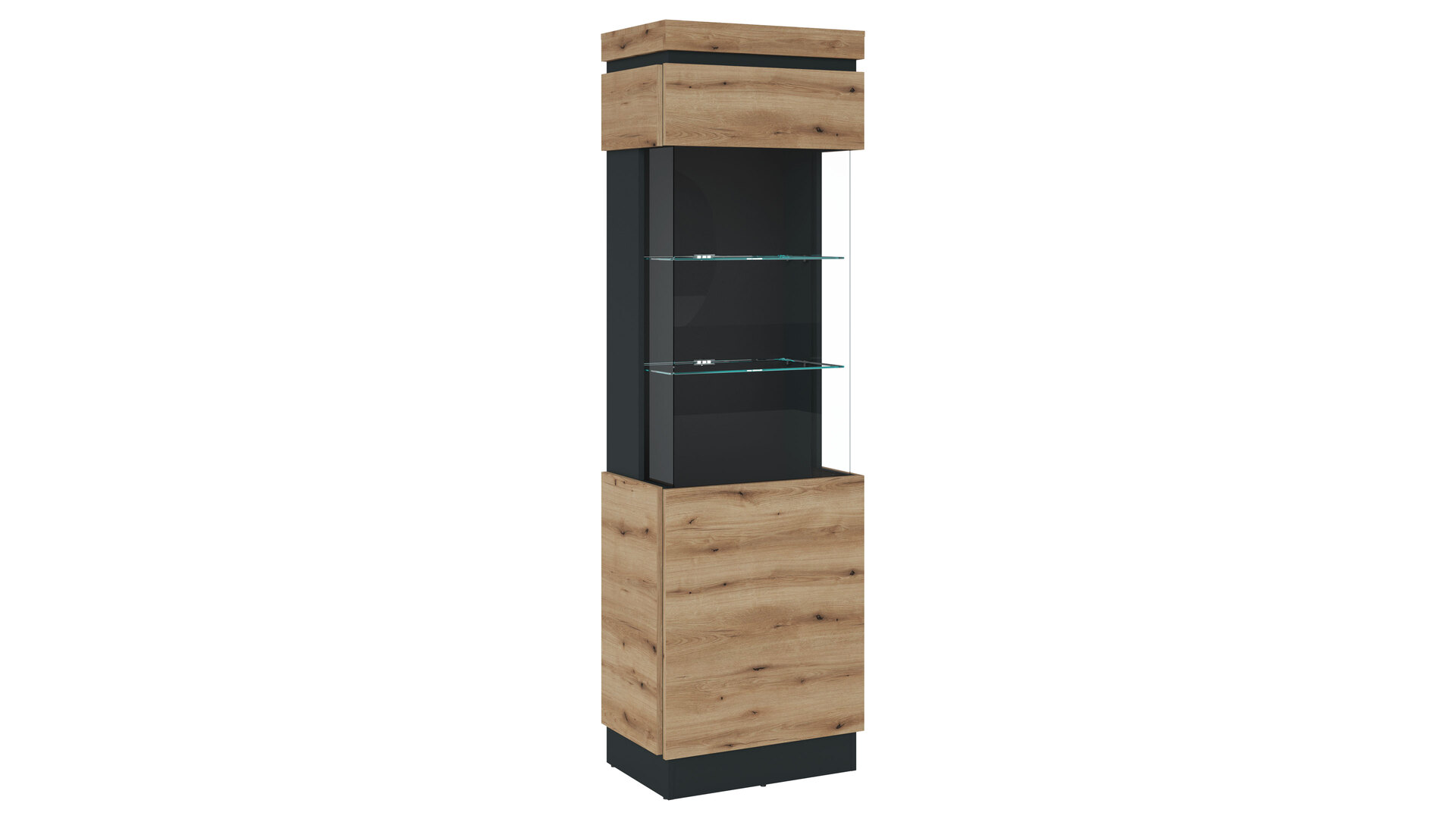 Vitrine 1-türig modern