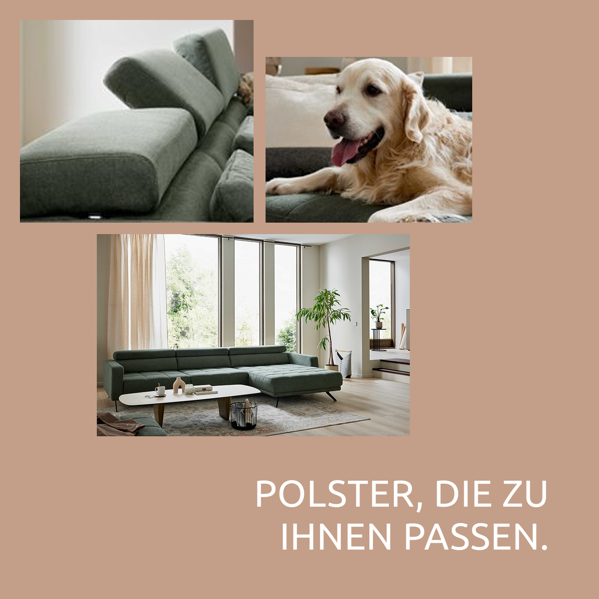 Grafik, 3 verschiedene Bilder eines Sofas, ein Golden Retriever liegt dort, der Hintergrund ist hellbraun