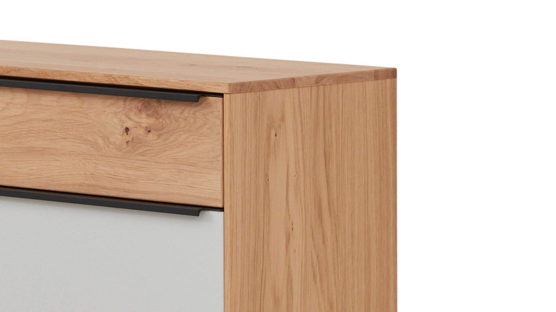 Interliving Garderoben Serie 6005 Hänge-Schuhschrank 805