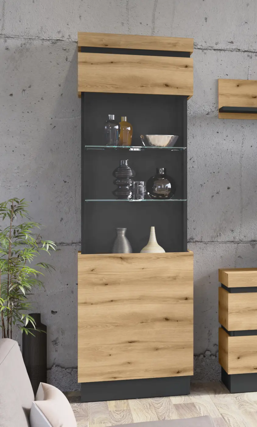 Vitrine 1-türig modern